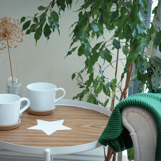 Klebefolie Eiche hell image number null